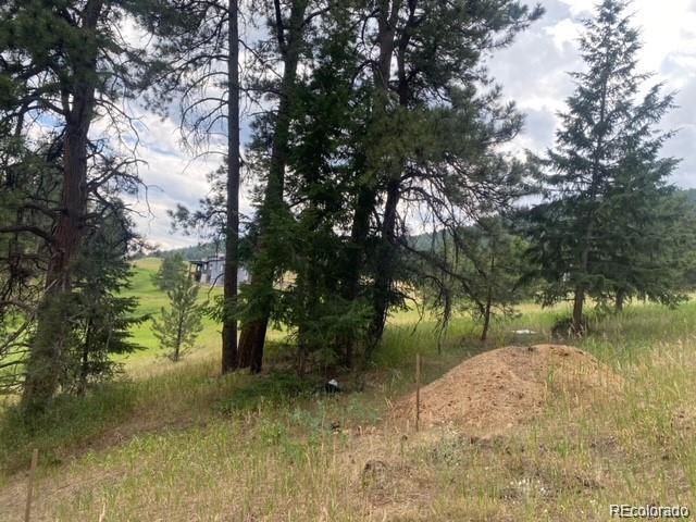 8036 Settlers Dr, Morrison, CO 80456 - photo 7