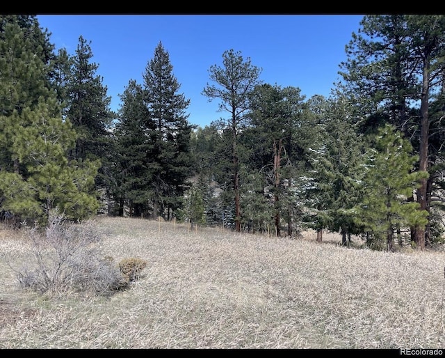 8036 Settlers Dr, Morrison, CO 80456 - photo 8