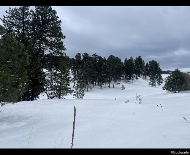 8036 Settlers Dr, Morrison, CO 80456 - photo 9