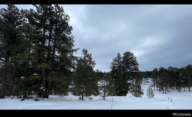 8036 Settlers Dr, Morrison, CO 80456 - photo 10