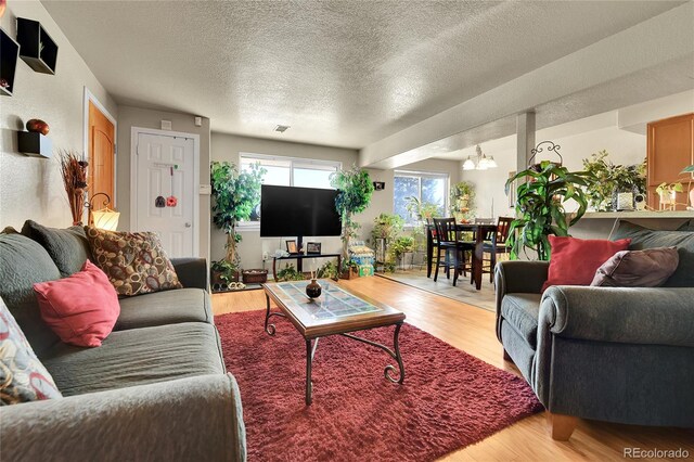 living room featuring a textured ceiling, an inviting chandelier, and light wood-type flooring