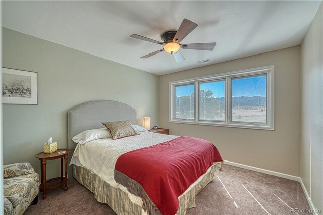12501 Country Meadow Ln, Salida, CO 81201 - photo 27