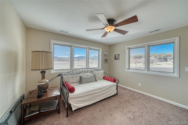 12501 Country Meadow Ln, Salida, CO 81201 - photo 32