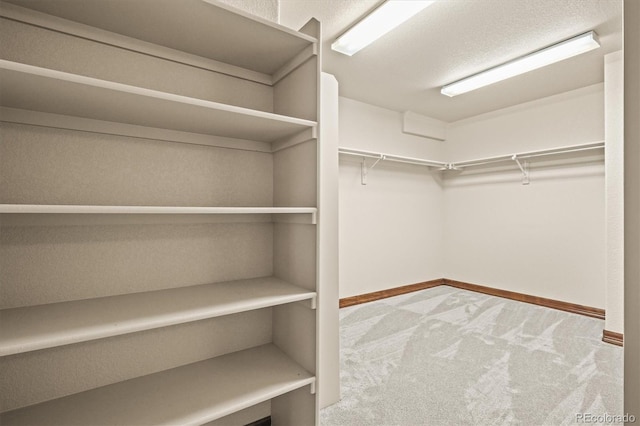 walk in closet with carpet floors