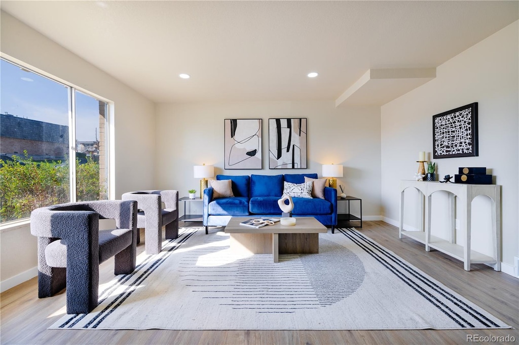 living room featuring light hardwood / wood-style flooring