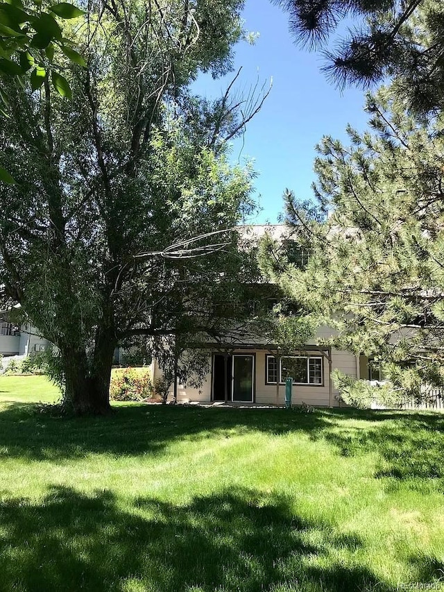 rear view of property with a yard
