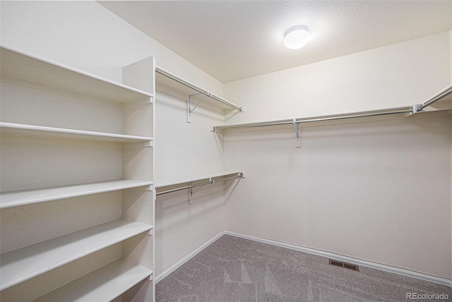 26267 E 3rd Ave, Aurora, CO 80018 - spacious closet with carpet