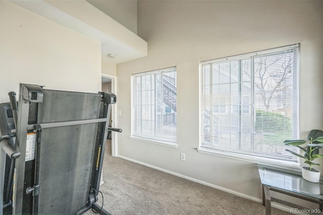 exercise area featuring carpet flooring and baseboards
