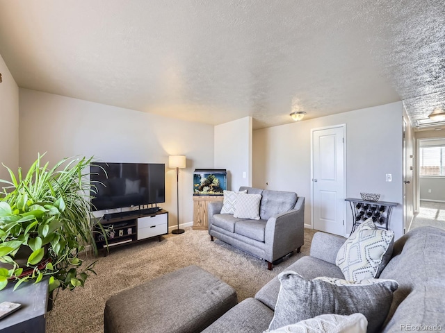 carpeted living room with a textured ceiling