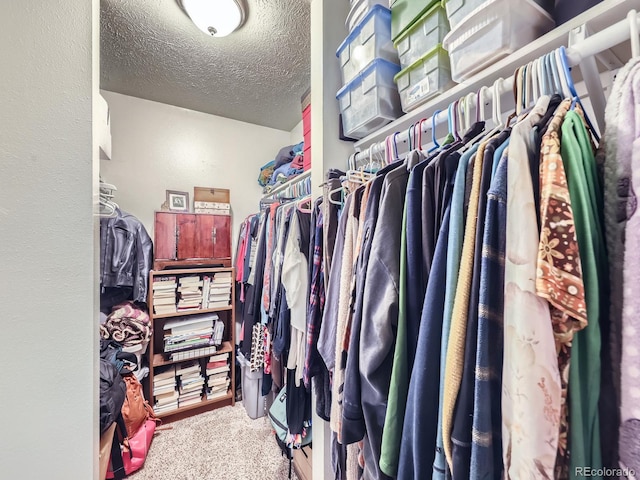 spacious closet featuring carpet floors