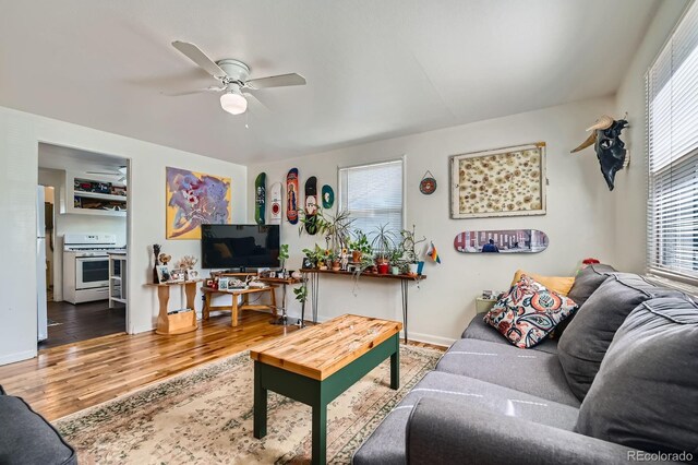 5424 Saulsbury Ct, Arvada, CO 80002 - living room with wood finished floors, a ceiling fan, and baseboards