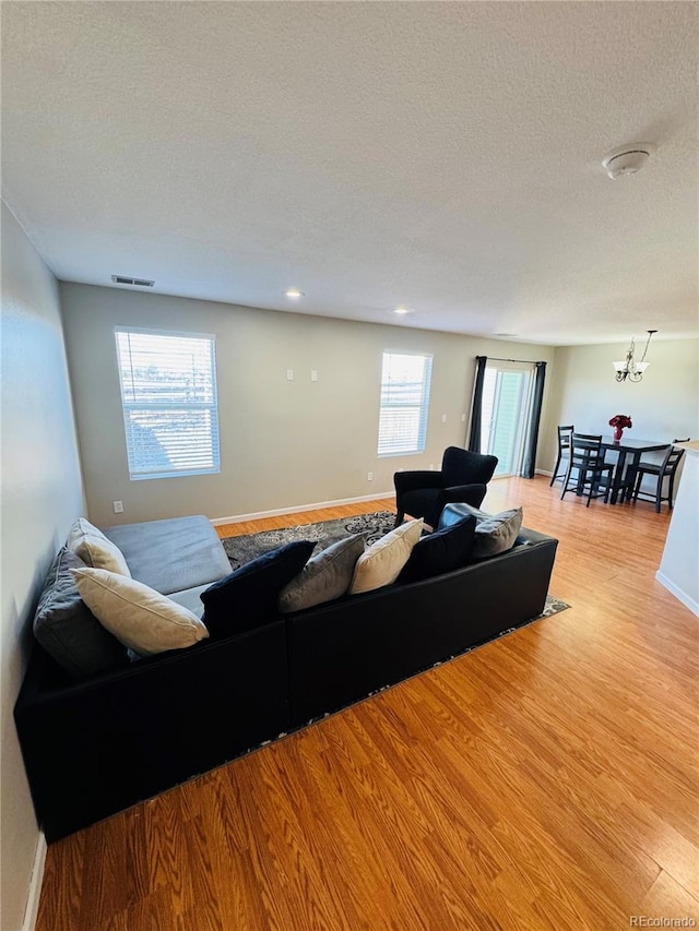 living room featuring a healthy amount of sunlight, a textured ceiling, and light hardwood / wood-style floors