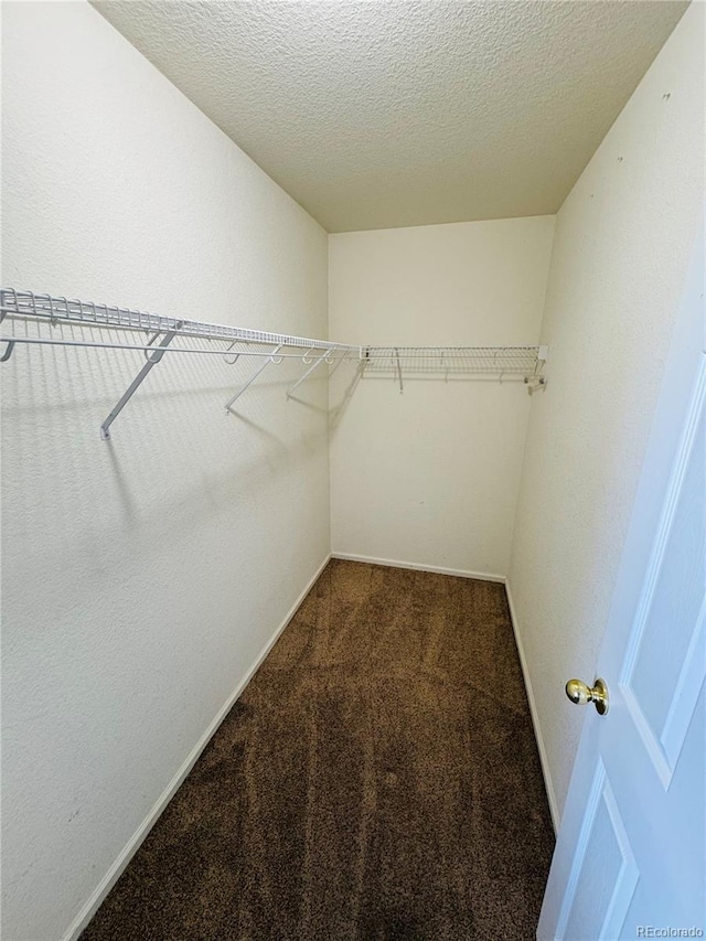 walk in closet with carpet