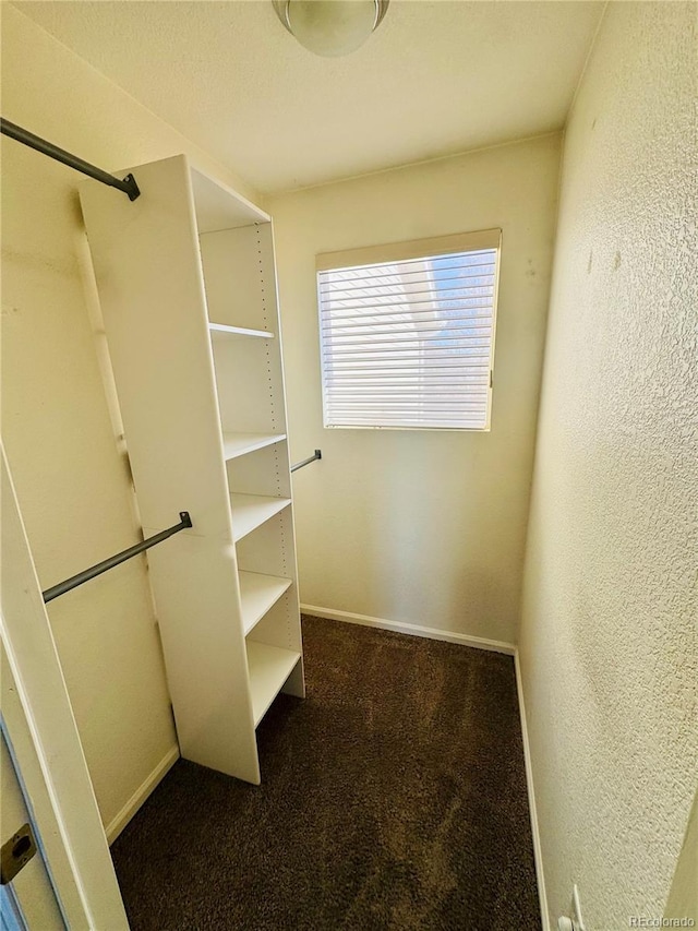 spacious closet with carpet floors