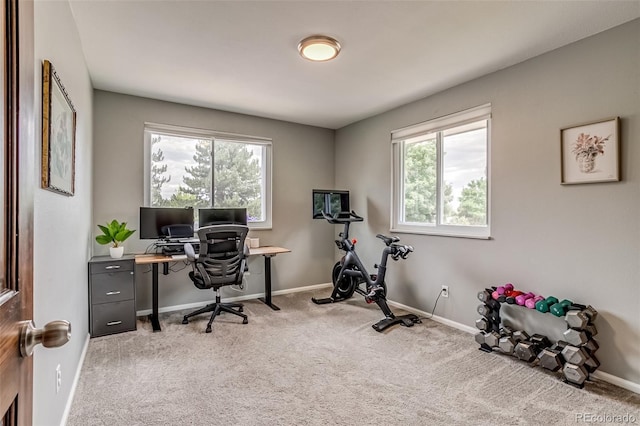 68 Yank Way, Lakewood, CO 80228 - photo 24