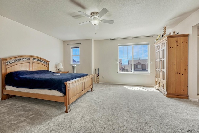 912 Fire Rock Pl, Colorado Springs, CO 80921 - photo 22