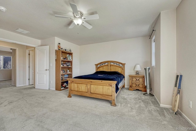 912 Fire Rock Pl, Colorado Springs, CO 80921 - photo 23