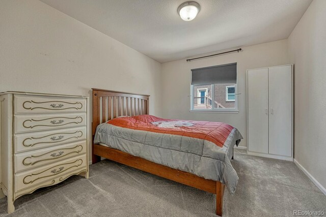 912 Fire Rock Pl, Colorado Springs, CO 80921 - photo 32