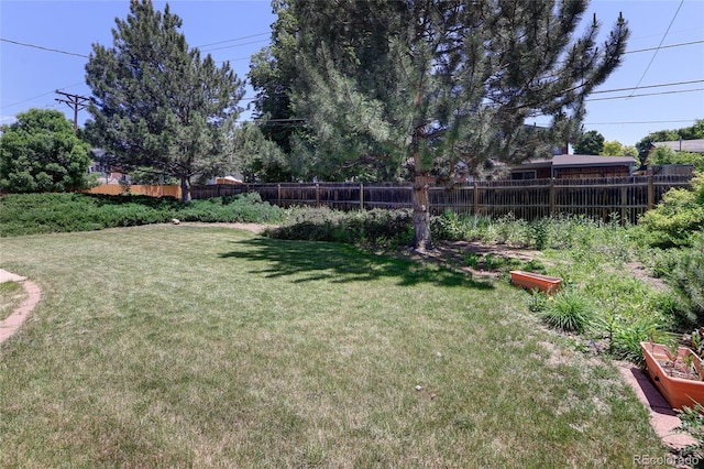 2900 S Golden Way, Denver, CO 80227 - view of yard