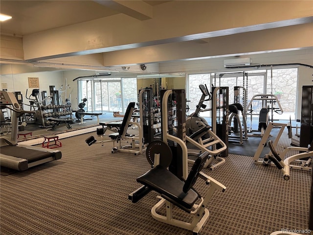 gym featuring a wall mounted AC and carpet