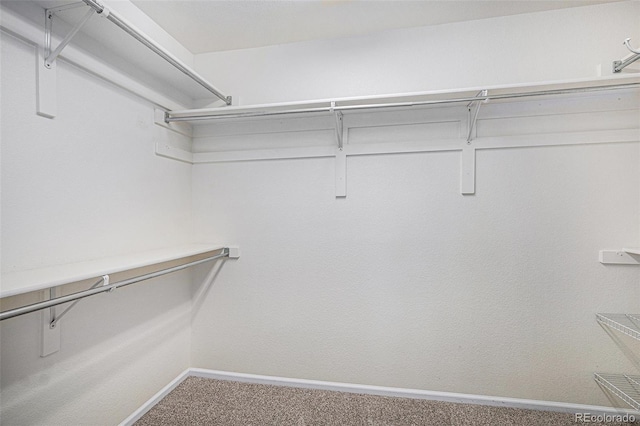 11788 Mill Valley St, Parker, CO 80138 - photo 24