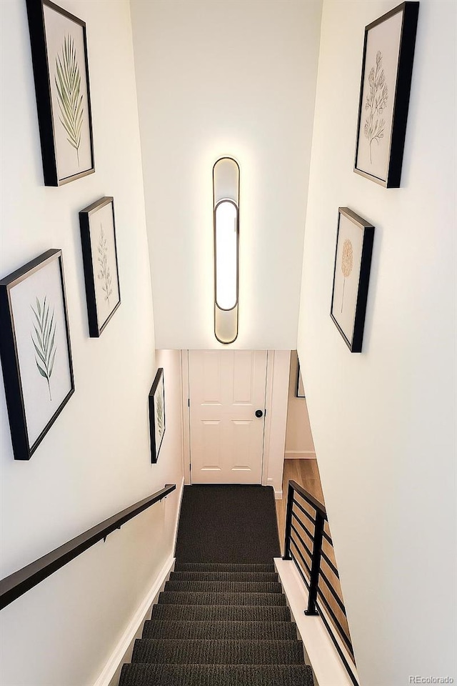 2218 Coronado Pkwy N Unit B, Denver, CO 80229 - stairs with carpet floors and baseboards