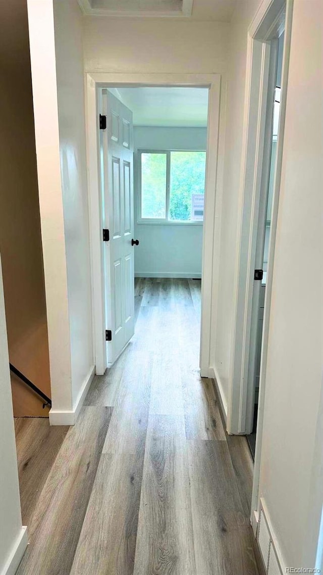 2218 Coronado Pkwy N Unit B, Denver, CO 80229 - hall featuring wood finished floors and baseboards