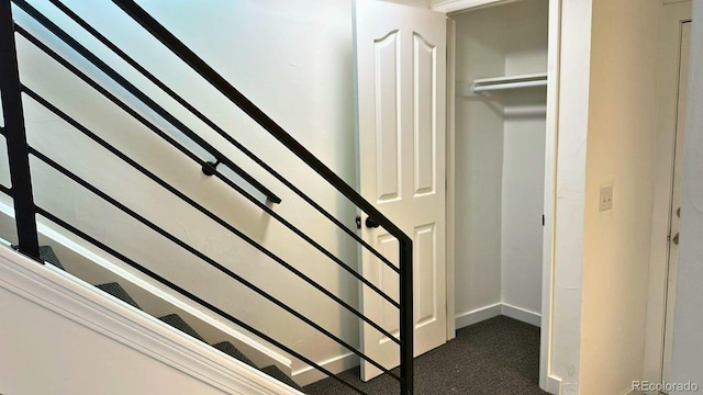 2218 Coronado Pkwy N Unit B, Denver, CO 80229 - staircase with carpet flooring and baseboards