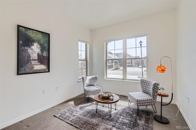 living area featuring baseboards and carpet floors