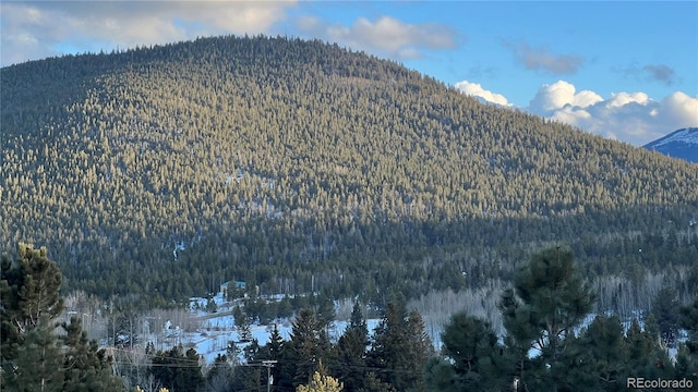 002 Virginia Canyon Rd, Central City, CO 80427