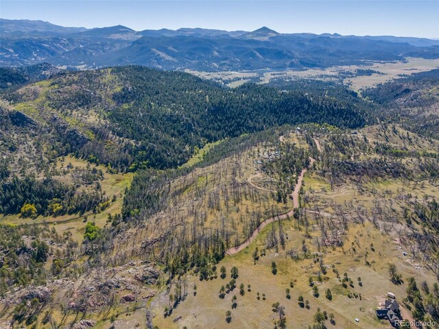 1156 Chateau W Dr, Florissant, CO 80816 - photo 1