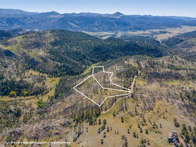 1156 Chateau W Dr, Florissant, CO 80816 - photo 2
