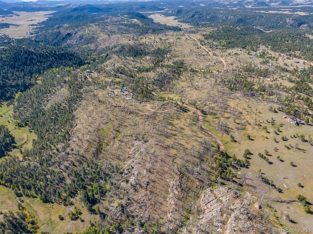 1156 Chateau W Dr, Florissant, CO 80816 - photo 3