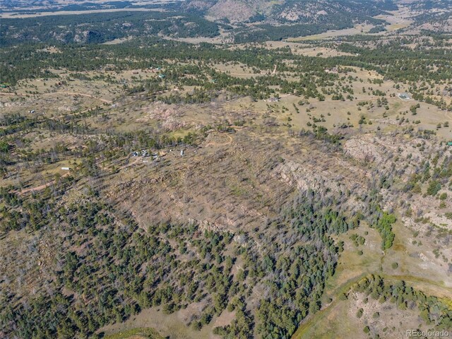 1156 Chateau W Dr, Florissant, CO 80816 - photo 4