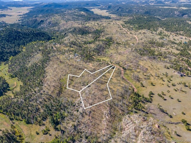 1156 Chateau W Dr, Florissant, CO 80816 - photo 5