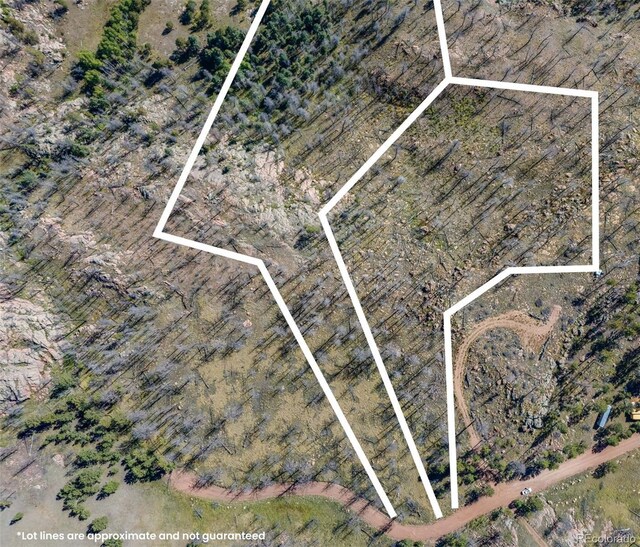 1156 Chateau W Dr, Florissant, CO 80816 - photo 6