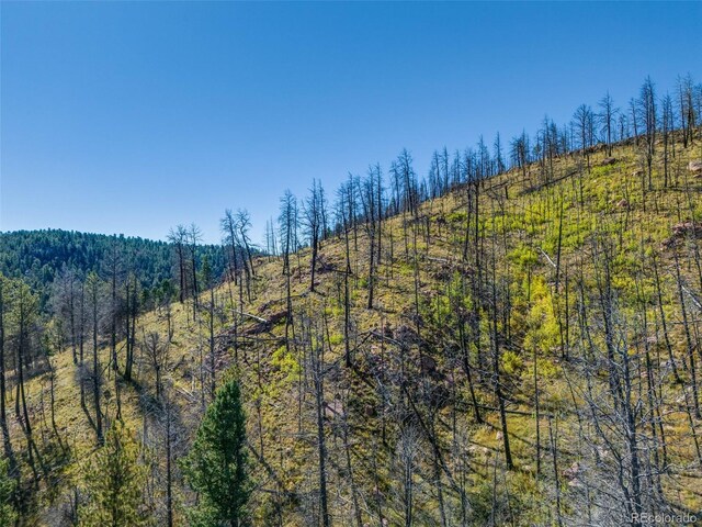 1156 Chateau W Dr, Florissant, CO 80816 - photo 7