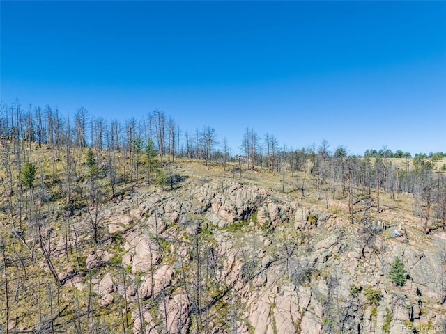 1156 Chateau W Dr, Florissant, CO 80816 - photo 8