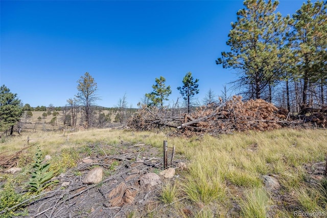 1156 Chateau W Dr, Florissant, CO 80816 - photo 9