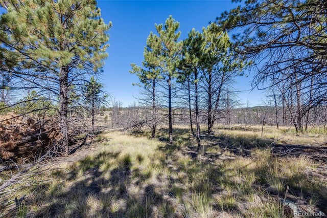 1156 Chateau W Dr, Florissant, CO 80816 - photo 11
