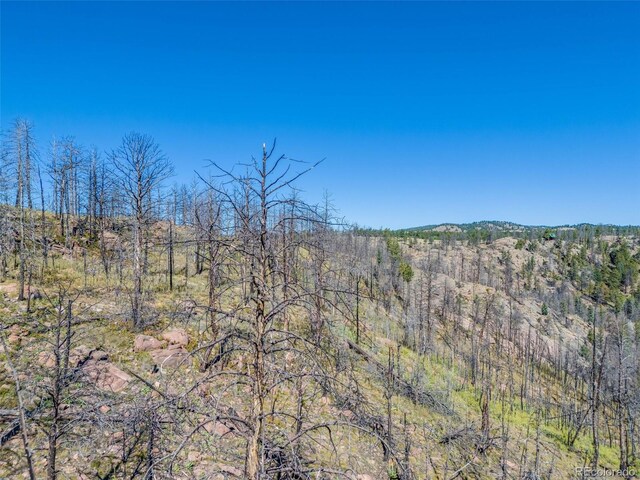 1156 Chateau W Dr, Florissant, CO 80816 - photo 13