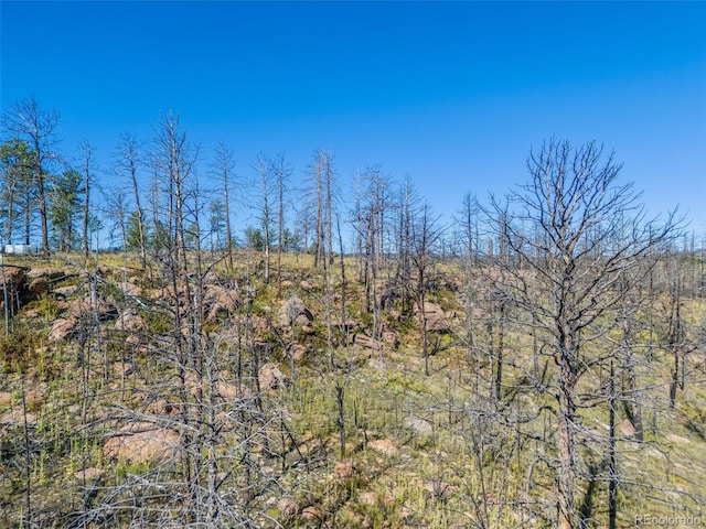 1156 Chateau W Dr, Florissant, CO 80816 - photo 14