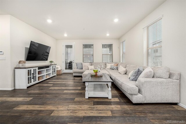 9723 Bennett Peak St, Littleton, CO 80125 - living area featuring plenty of natural light, wood finished floors, recessed lighting, and baseboards