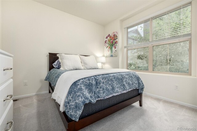 9723 Bennett Peak St, Littleton, CO 80125 - carpeted bedroom with baseboards