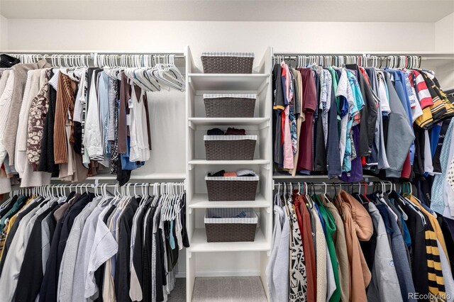 9723 Bennett Peak St, Littleton, CO 80125 - walk in closet featuring carpet flooring