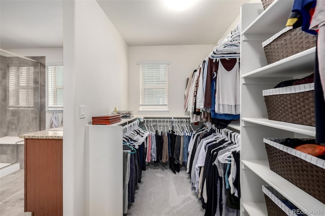 9723 Bennett Peak St, Littleton, CO 80125 - view of spacious closet