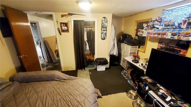 7620 Hooker St, Westminster, CO 80030 - bedroom featuring a closet and carpet floors