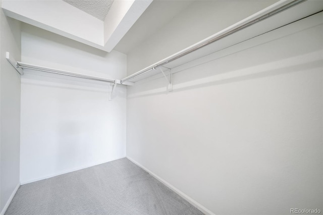 spacious closet with carpet floors