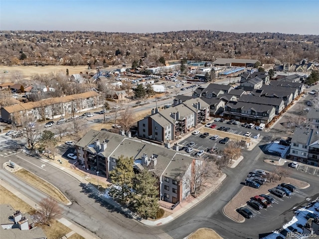 drone / aerial view