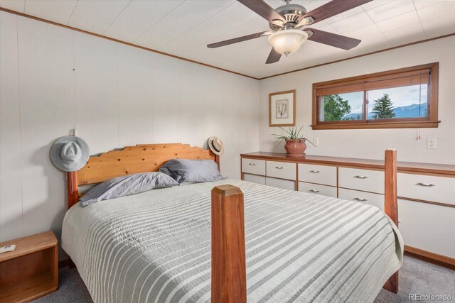 211 Grant St, Salida, CO 81201 - photo 21